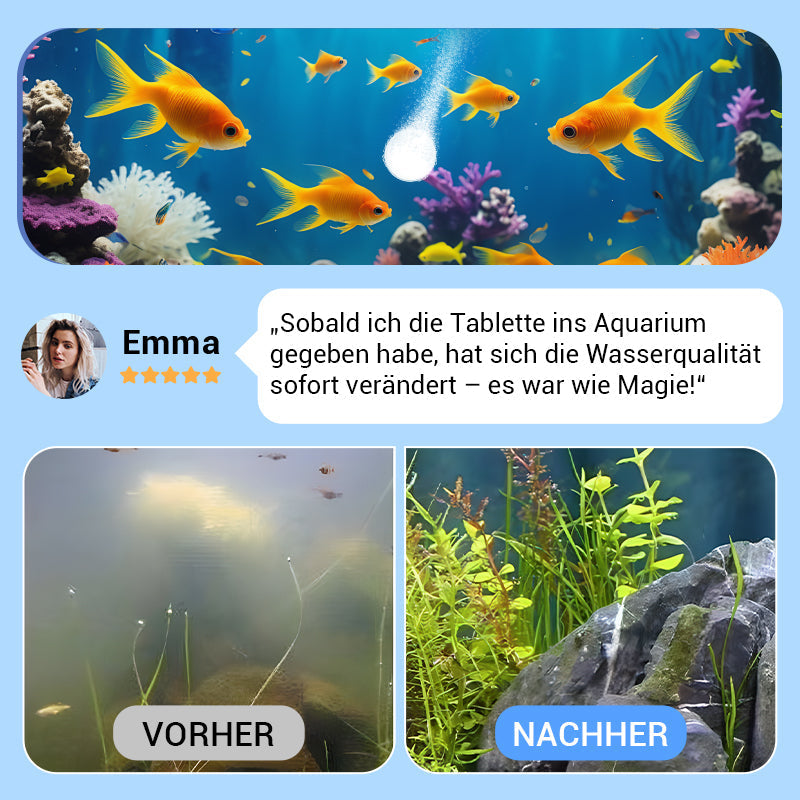 Blitzangebot: 50% Rabatt💥🚀Kaufen 2 und erhalten 1 gratis♻️💧Leistungsstarke Wasserreinigungstablette für Aquarien -Furzero®