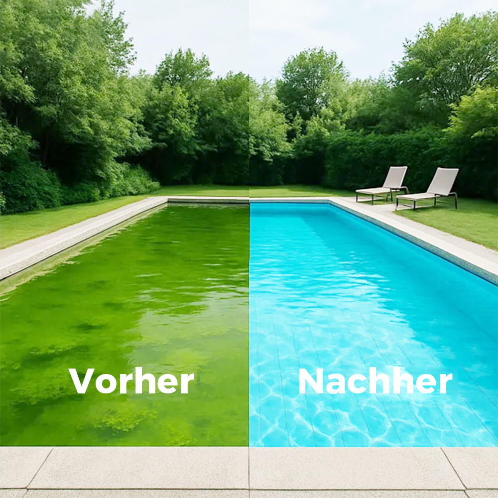 Schwimmbadreinigungsflüssigkeit – effektiv gegen Algen & Trübungen – für klare, hygienisch saubere Becken – ideal für Aufstell- & Folienbecken🏊‍♂️💧
